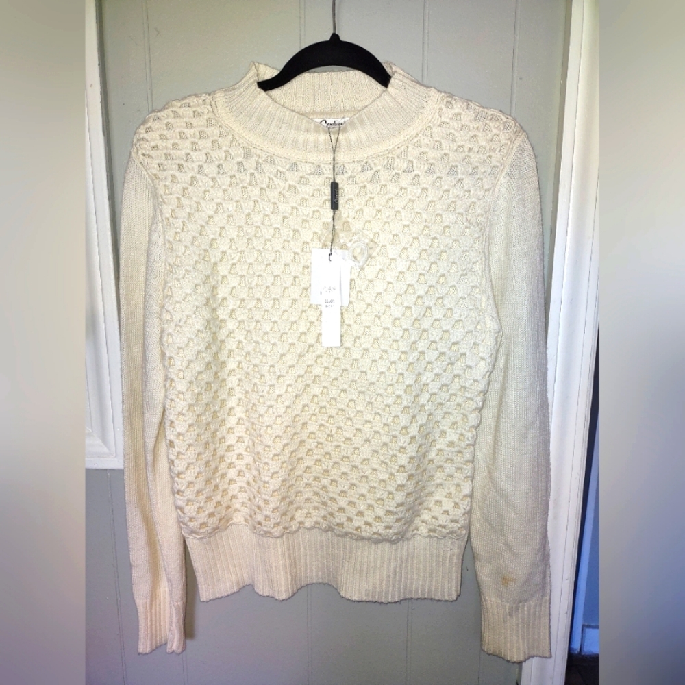 🍄 Carducci Metallic Sweater NWT